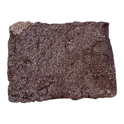 Petrolatum Mastic
