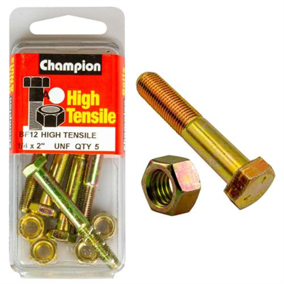 Champion 2in x 1/4in Bolt And Nut (A) - GR5