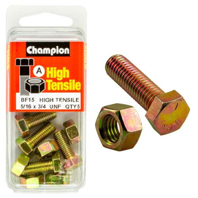 Champion 3/4in x 5/16in Set Screw & Nut (A) - GR5