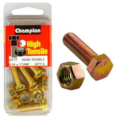 Champion 1 x 5/16in Set Screw & Nut (A) - GR5