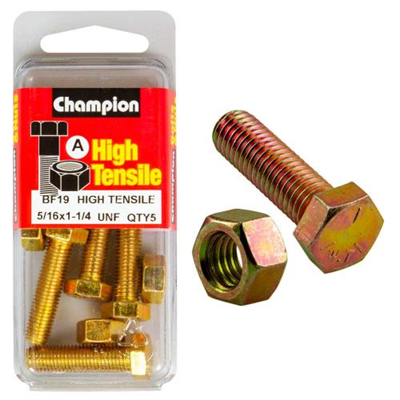 Champion 1-1/4in x 5/16in Set Screw & Nut (A) - GR5