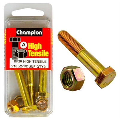 Champion 2-1/2in x 5/16in Bolt & Nut (A) - GR5