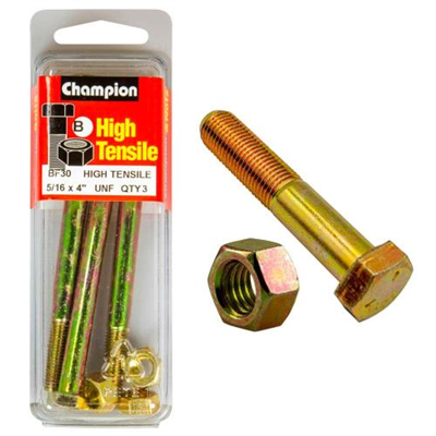 Champion 4in x 5/16in Bolt And Nut (B) - GR5