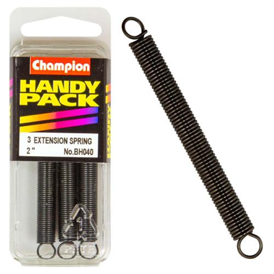 Champion 2 x 9/32 x 21G Extension Springs