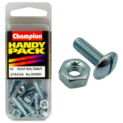 Champion 3/16in x 3/4in Roofing Bolt & Nut