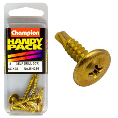Champion 8G x 18 x 25mm Self Drilling Set Screw