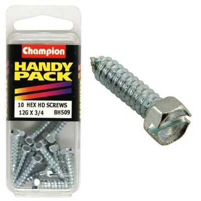 Champion 12G x 3/4in S/Tap Set Screw - Hex HD