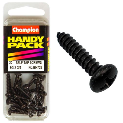 Champion 6G x 3/4in S/Tap Set Screw - Black Zinc