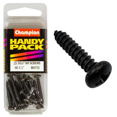Champion 6G x 1in S/Tap Set Screw - Black