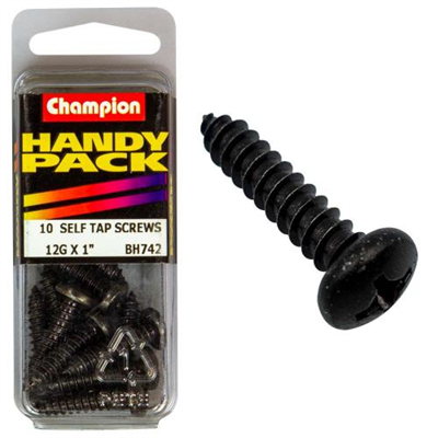 Champion 12G x 1 S/Tap Set Screw - Blk Zinc