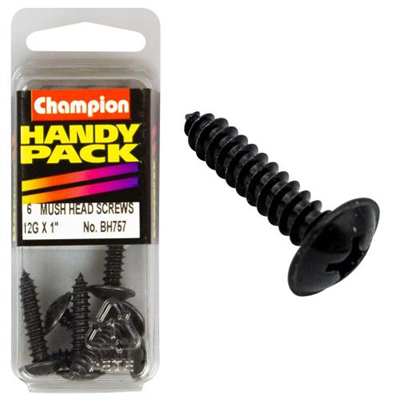 Champion 12G x 1 Washer Face S/Tap Set Screw - Blk Zinc