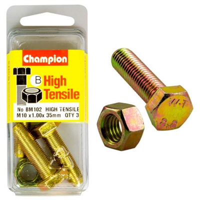 Champion M10 x 35 x 1.00 Set Screw & Nut (B) - GR8.8