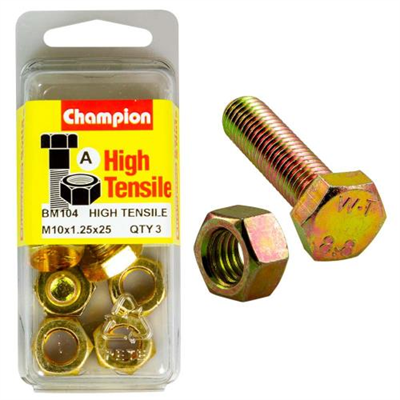 Champion M10 x 25 x 1.25 Set Screw & Nut (A) - GR8.8