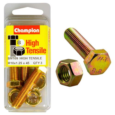 Champion M10 x 45 x 1.25 Set Screw & Nut (B) - GR8.8