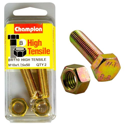 Champion M10 x 50 x 1.25 Set Screw & Nut (B) - GR8.8