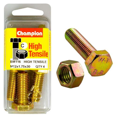 Champion M12 x 30 Set Screw & Nut (C) - GR8.8