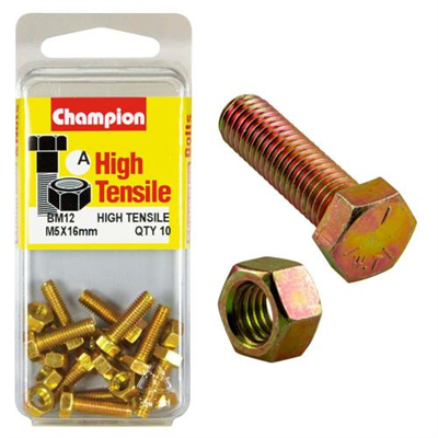 Champion M5 x 16 Set Screw & Nut (A) - GR8.8