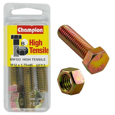 Champion M12 x 45 Set Screw & Nut (B) - GR8.8
