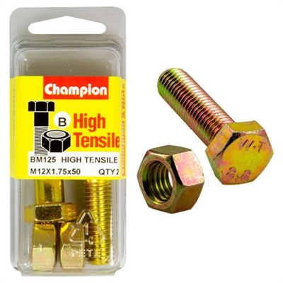 Champion 12 x 50 Bolt And Nut (B) - GR8.8