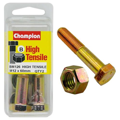 Champion 12 x 60 Bolt And Nut (B) - GR8.8