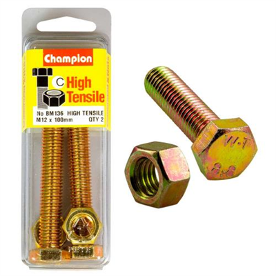 Champion M12 x 100 Set Screw & Nut (C) - GR8.8