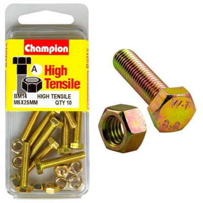 Champion M5 x 25 Set Screw & Nut (A) - GR8.8