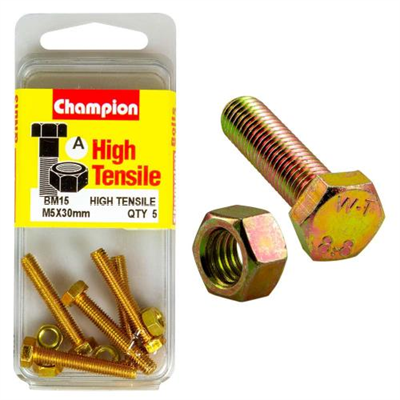 Champion M5 x 30 Set Screw & Nut (A) - GR8.8
