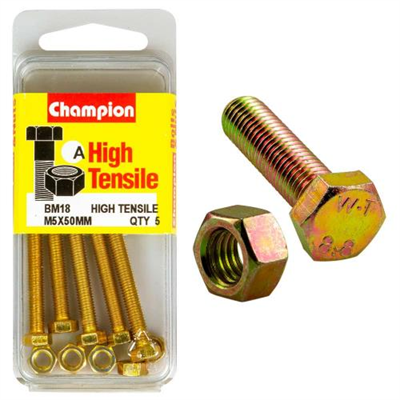 Champion M5 x 50 Set Screw & Nut (A) - GR8.8