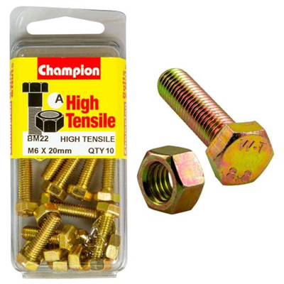 Champion M6 x 20 Set Screw & Nut (A) - GR8.8