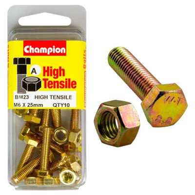 Champion M6 x 25 Set Screw & Nut (A) - GR8.8