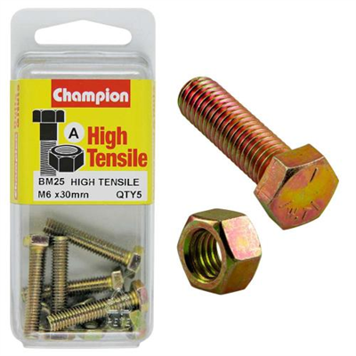 Champion M6 x 30 Set Screw & Nut (A) - GR8.8