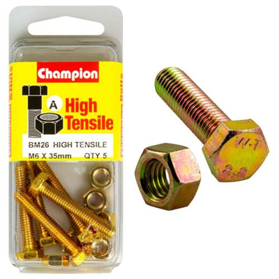 Champion M6 x 35 Set Screw & Nut (A) - GR8.8