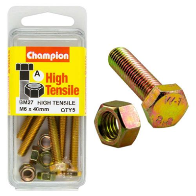 Champion M6 x 40 Set Screw & Nut (A) - GR8.8