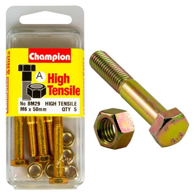 Champion M6 x 50 Bolt & Nut (A) - GR8.8