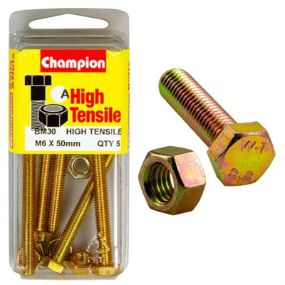 Champion M6 x 50 Set Screw & Nut (A) - GR8.8