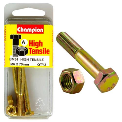 Champion M6 x 70 Bolt & Nut (A) - GR8.8