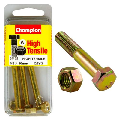 Champion M6 x 80 Bolt & Nut (A) - GR8.8