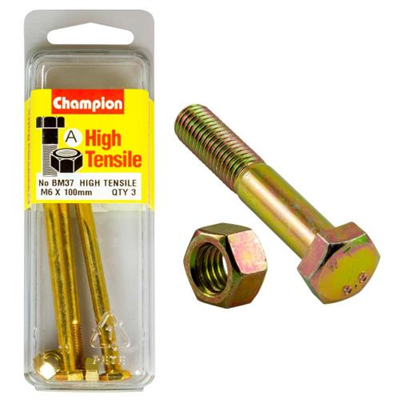 Champion M6 x 100 Bolt & Nut (A) - GR8.8