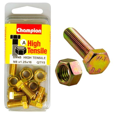 Champion M8 x 16 Set Screw & Nut (A) - GR8.8