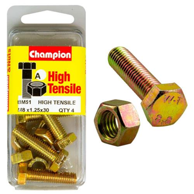Champion M8 x 30 Set Screw & Nut (A) - GR8.8