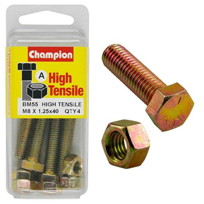 Champion M8 x 40 Set Screw & Nut (A) - GR8.8