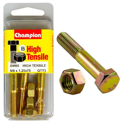 Champion M8 x 75 Bolt & Nut (B) - GR8.8