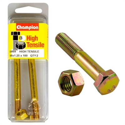Champion M8 x 100 Bolt & Nut (B) - GR8.8