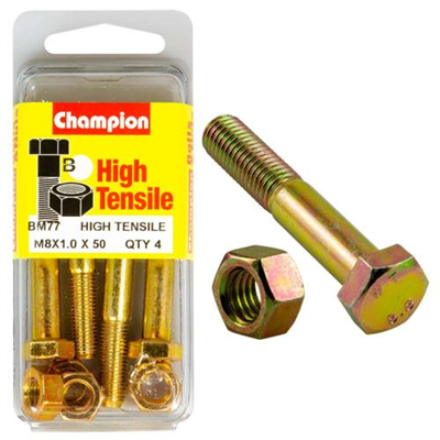Champion 8 x 50 x 1.0 Set Screw  & Nut (B) - GR8.8