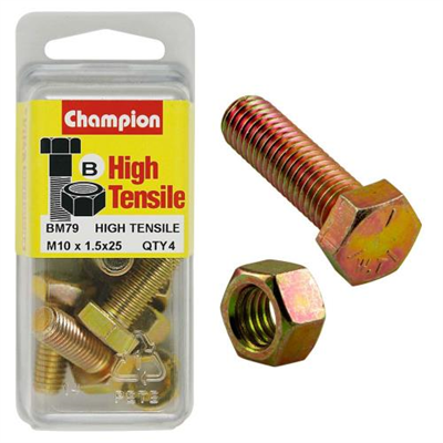 Champion M10 x 25 Set Screw & Nut (B) - GR8.8