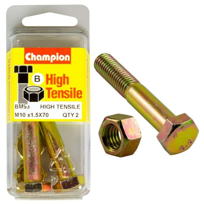 Champion 10 x 70 Bolt And Nut (B) - GR8.8