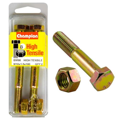 Champion M10 x 100 Bolt & Nut (B) - GR8.8