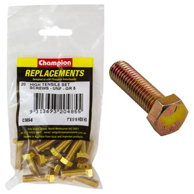 Champion 5/16in x 1in UNF Set Screw -Gr5 -20pk