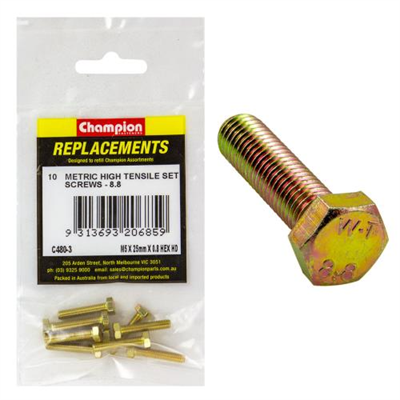 Champion M5 x 25mm x 0.8 Set Screw -Gr8.8 -10pk