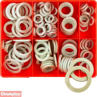 Champion 123pc 3mm Polypropylene Washer Assortment